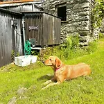 Hébergement de vacances 5 Bed In Kendal Oc-88095 Skelsmergh